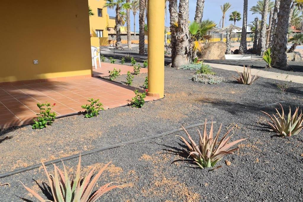 Apartament Beautiful Garden Flat Nearly Refurbished Free Wifi Corralejo Zewnętrze zdjęcie
